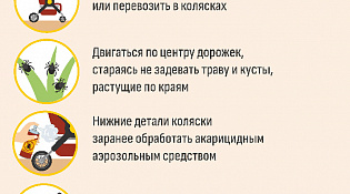 ПАМЯТКА: Осторожно КЛЕЩИ!!!